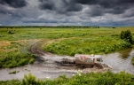 TATRA_Silk_Way_Rally_2017_09.jpg