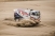 TATRA_Rallye_Dakar_2018_Buggyra_02.jpg