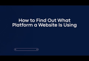 How to Find Out What Platform a Website Is Using