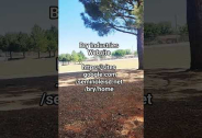 https://sites.google.com/seminoleisd.net/bry/home